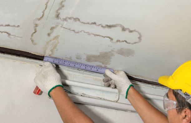 Reliable Water Damage contractor in Wrightstown, NJ by Water Damage Irwin